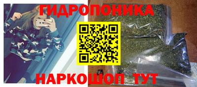 PSILOCYBIN Будённовск