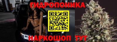 PSILOCYBIN Будённовск