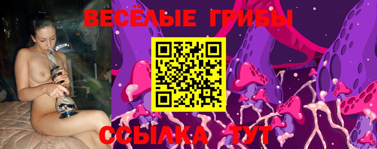 Галлюциногенные грибы MAGIC MUSHROOMS Чернушка