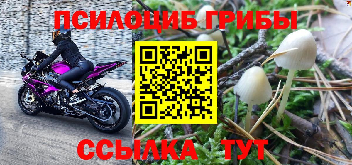 Галлюциногенные грибы мухоморы  Вход с VPN  Чернушка  Галлюциногенные грибы Psilocybine cubensis 